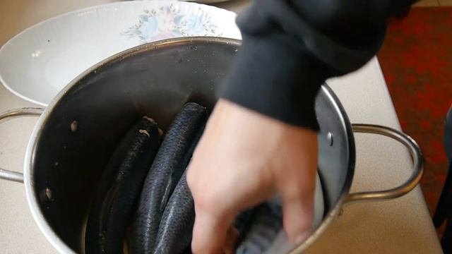СЕЛЕДКА СОЛЕНАЯ !!! СКУМБРИЯ малосольная !!! Самый быстрый РЕЦЕПТ