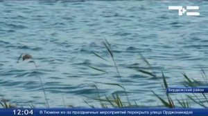 Грязные, но счастливые