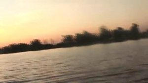 Ловля судака на тюльку на Каме