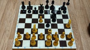 ШАХМАТЫ. КРАСИВО ПОБЕЖДАЙТЕ В ДЕБЮТЕ  ELEPHANT GAMBIT ИЛИ ГАМБИТ СЛОНА ЗА БЕЛЫХ