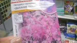 Многолетние цветы,посев в июле, да!!!