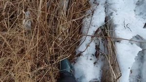 Коп металлолома на вездеходе ЗИС-5 ( Болотоход, каракат) Отличная цена на металл))) Металлокоп