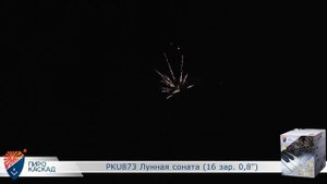 Батарея салютов Лунная соната (16/0,8) РКU873