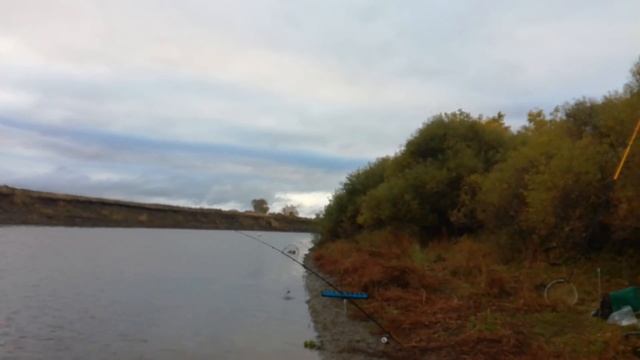 Осенний Судак на Донку смотреть онлайн