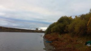 Осенний Судак на Донку