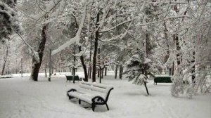 ВИА Контемпоранул Нинже (Падает снег)