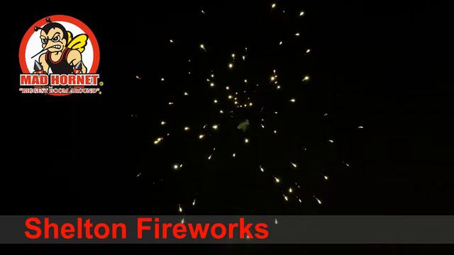 SF-28 WARHEAD TORPEDOES 12 PALM SHELLS смотреть онлайн