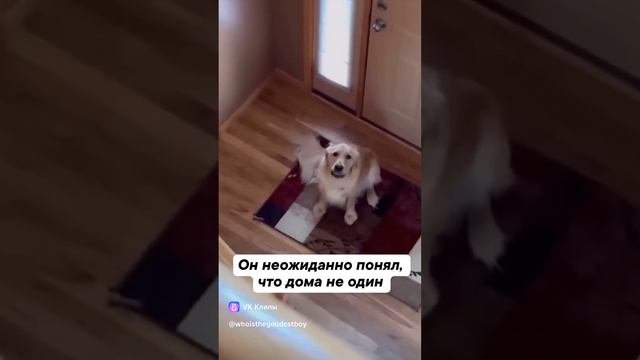 18.07.2024г. смотреть онлайн