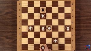 Как играть в Шахматы с магнитным зарядом