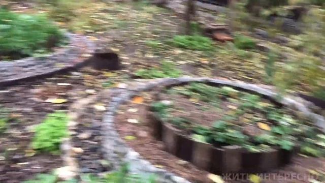 ОКТЯБРЬСКИЙ КАЛЕЙДОСКОП :  КАМНИ НА ЦЕМЕНТ , ЗИМУЮЩИЕ ЦВЕТЫ,  ВЕНКИ И ПРОЧЕЕ.