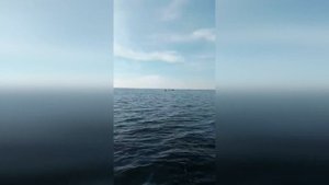 Вот это рыбалка! Осенний жор судака на мандулу в Камском Устье. Тест спиннинга Narval Argument