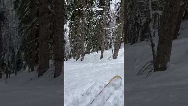 Секретные трассы: Свежий снег на Розе Хутор #фрирайдгруппа