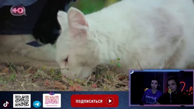 РЕАКЦИЯ НА ШОУ ОБМЕН ДОМАМИ | 1 выпуск | МОСКВА-СИТИ – УРЮПИНСК. 1 часть