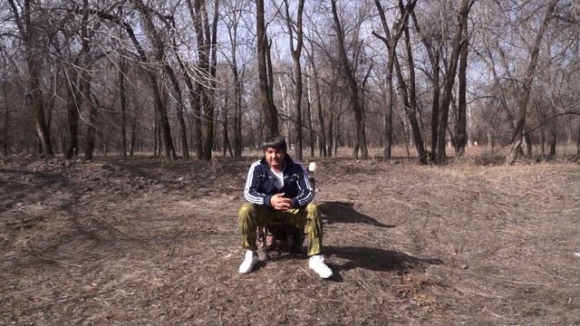 Как выбрать щенка среднеазиатской овчарки. смотреть онлайн