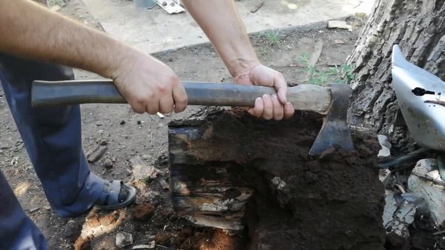 Страшное насекомое!!! Личинки майского жука - хруща, монстры в пнях смотреть онлайн