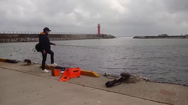 [서민낚시 1회] 바다낚시 시작.. 2만원으로 시작하기 __ ( 심곡항내항 ) смотреть онлайн