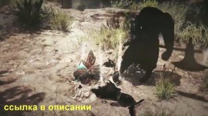 black desert быстрая прокачка