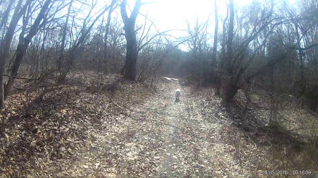 Велик 1 смотреть онлайн