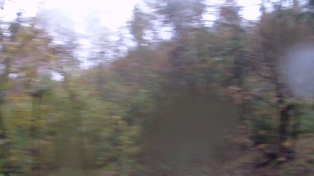 Поиск Лебедева Евгения Николаевича 5 смотреть онлайн