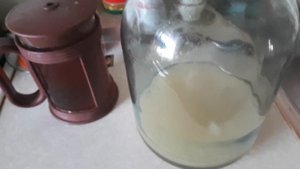 Чайный гриб из уксусной матки?