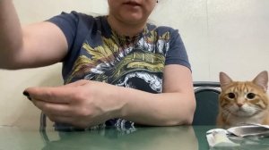 Менопур. Укол в живот