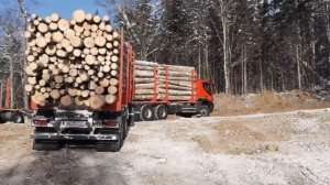 iveco лесовоз , зимняя вывозка леса