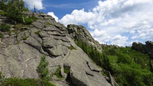 Синюха. Колывань, Алтайский край.
