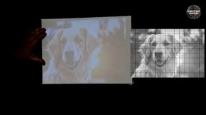 3 способа переноса рисунка на холст