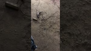 Как проверить транспортировочный грунт Можно ли красить на транспортировочный грунт??