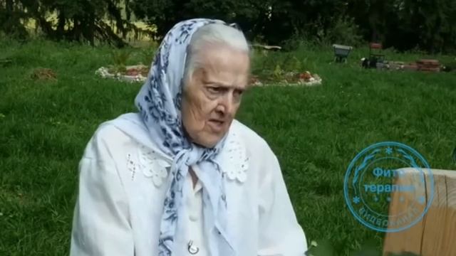 #фитотерапия #лопух #травница Корень лопуха