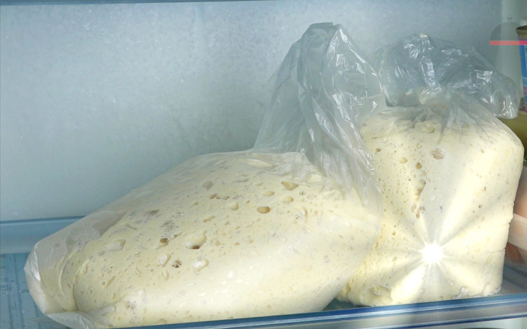 хранение дрожжевого теста для пиццы в холодильнике (120) фото