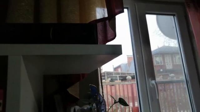 Темно серые обои в интерьере: что вышло смотреть онлайн