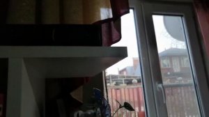 Темно серые обои в интерьере: что вышло