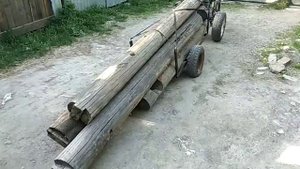 альфа трайк испытания