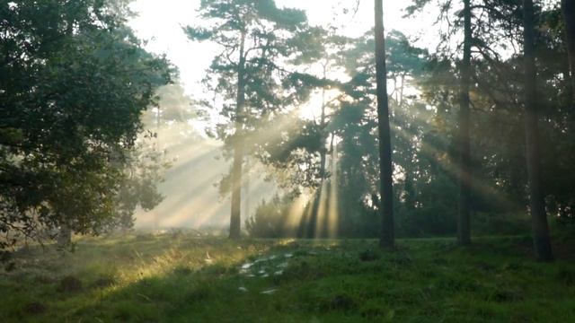 Релакс солнечные лучи . Relax the sun rays смотреть онлайн