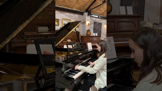 Playing piano with different prices | Part 1 | Blüthner, Restored Steinway, Bösendorfer, Steinhöven