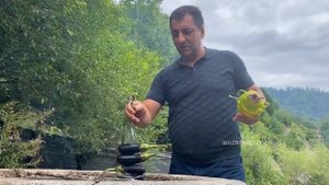ЛУЧШИЙ РЕЦЕПТ ШАШЛЫКА-КЕБАБА / ШАШЛЫК ИЗ ОВОЩЕЙ И БАРАНИНЫ / ПРИГОТОВЛЕНИЕ ШАШЛЫКА В ДИКОЙ ПРИРОДЕ