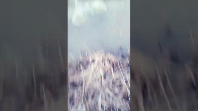 мы нашли нефть смотреть онлайн