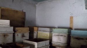 ЗИМОВКА ПЧЕЛ ГДЕ ЛУЧШЕ? В ПОМЕЩЕНИИ ИЛИ НА УЛИЦЕ ?