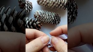 Из еловых шишек