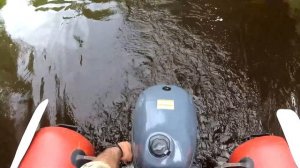 Рыбалка на лесной речке на спиннинг в конце мая