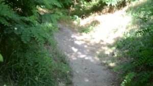 Обзор пляжа Гулькевичи.