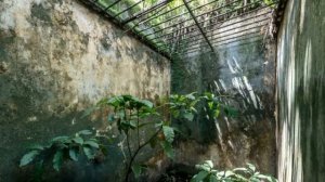 Тюрьма на острове Дьявола безжалостное лезвие сухой гильотины