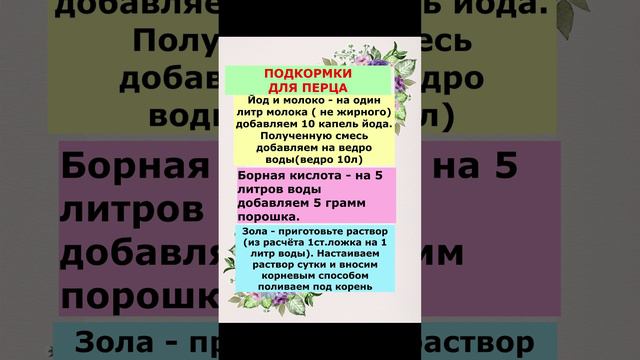 чем можно подкормить Перец