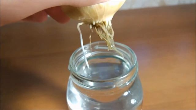 Выращиваем лук дома #3. Как вырастить лук дома? смотреть онлайн