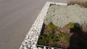 парк учкуевка   габионы на клумбе
