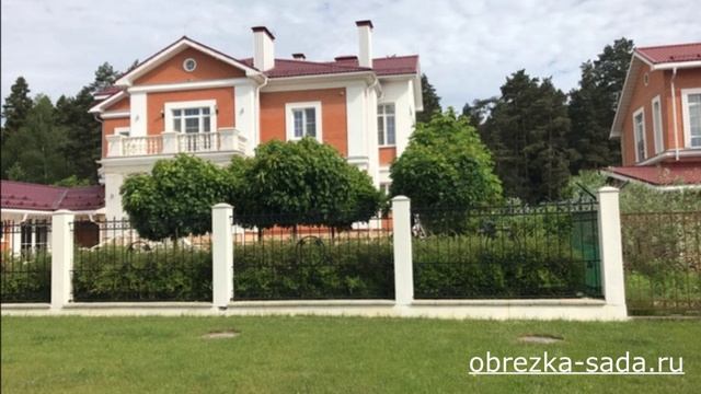 Услуги обрезки садовых деревьев и кустарников на даче