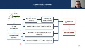 Лекция Вадима Покровского "Канцерогенез: откуда берутся опухоли"