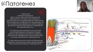Периодонтиты. Этиология и патогенез. Клиника острого апикального периодонтита.