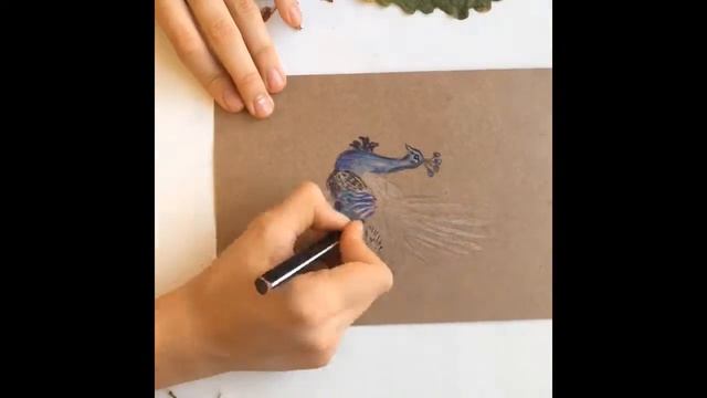 Как научиться рисовать павлина/how to learn to draw a peacock смотреть онлайн